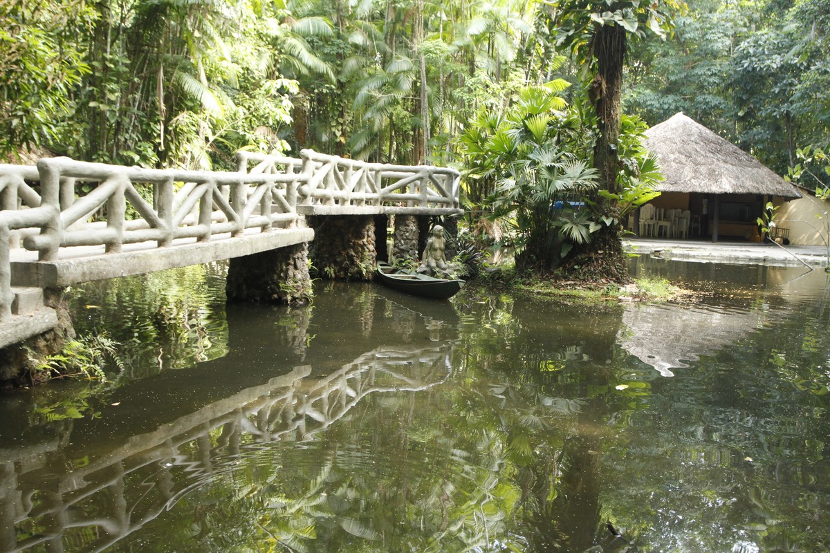 bosque-rodrigues-alves-reabre-para-comemora-o-de-139-anos-em-bel-m