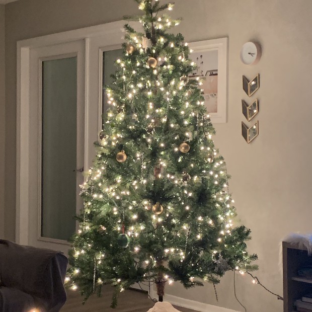 Americanos amenizam quarentena com decoração de Natal nas casas (Foto: Reprodução/Twitter)