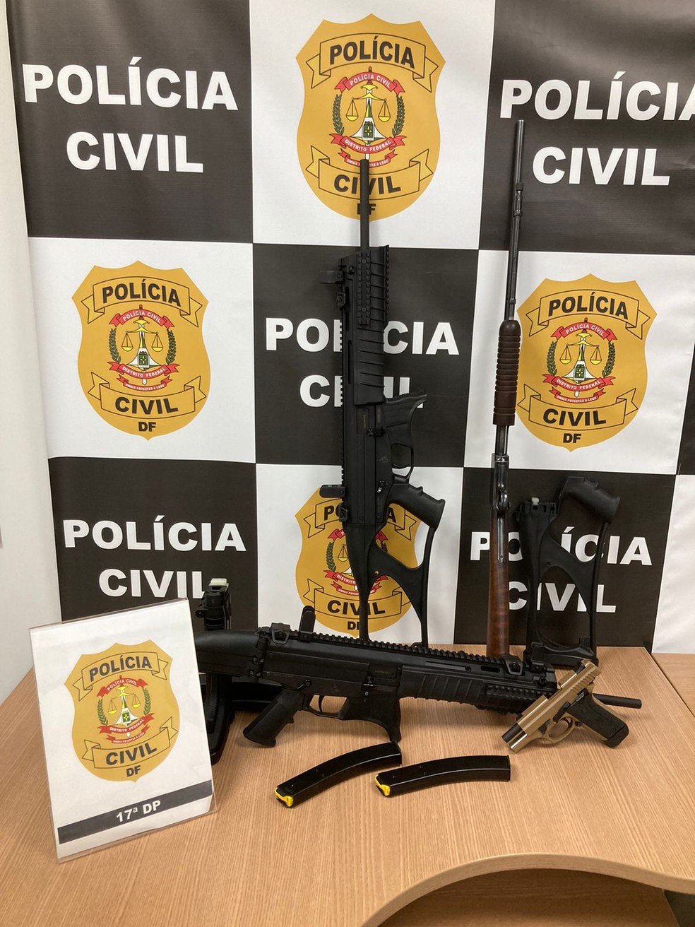 Armas apreendidas pela Polícia Civil na Loja do Pescador, em Taguatinga, no DF — Foto: PCDF/Divulgação