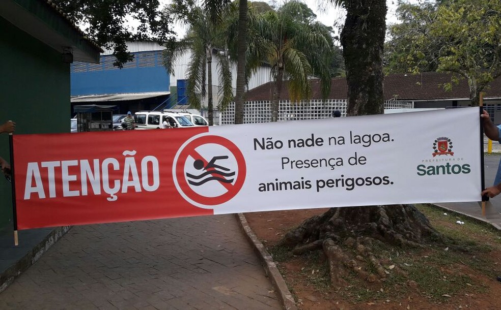 Faixa foi fixada na lagoa para alertar banhistas sobre animais perigosos (Foto: Divulgação/Prefeitura de Santos )