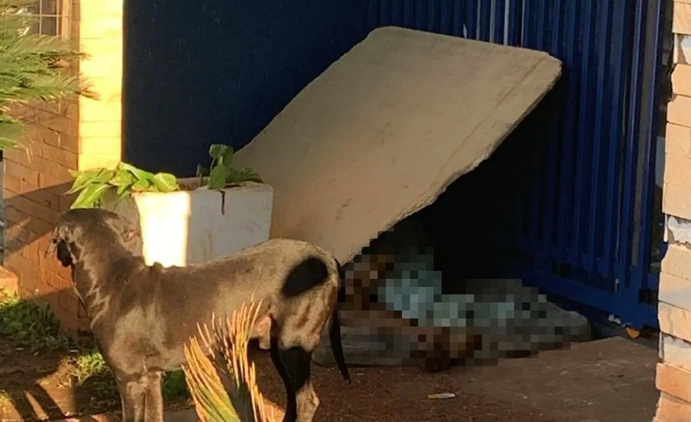 Morador de rua foi encontrado morto no centro da cidade, ao lado de seu cão. — Foto: Reprodução/RedesSociais