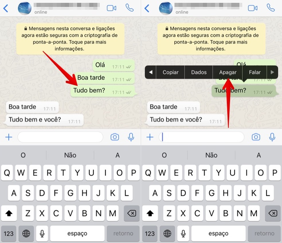 Como Apagar Mensagem No Whatsapp No Iphone Conjunto De Mensagens