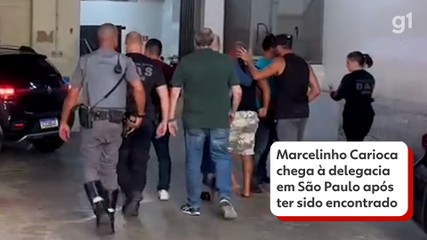 Cavalo se enforca com corda e é resgatado por moradores em SP