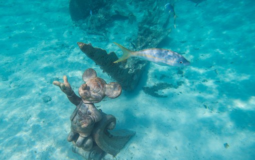  Na ilha é possível alugar snorkel e explorar a vida marinha embaixo d'água