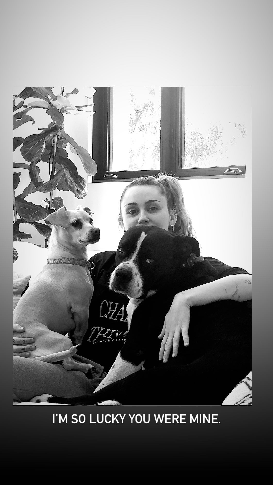 Miley Cyrus e a cachorra Mary Jane (Foto: Reprodução/Instagram)