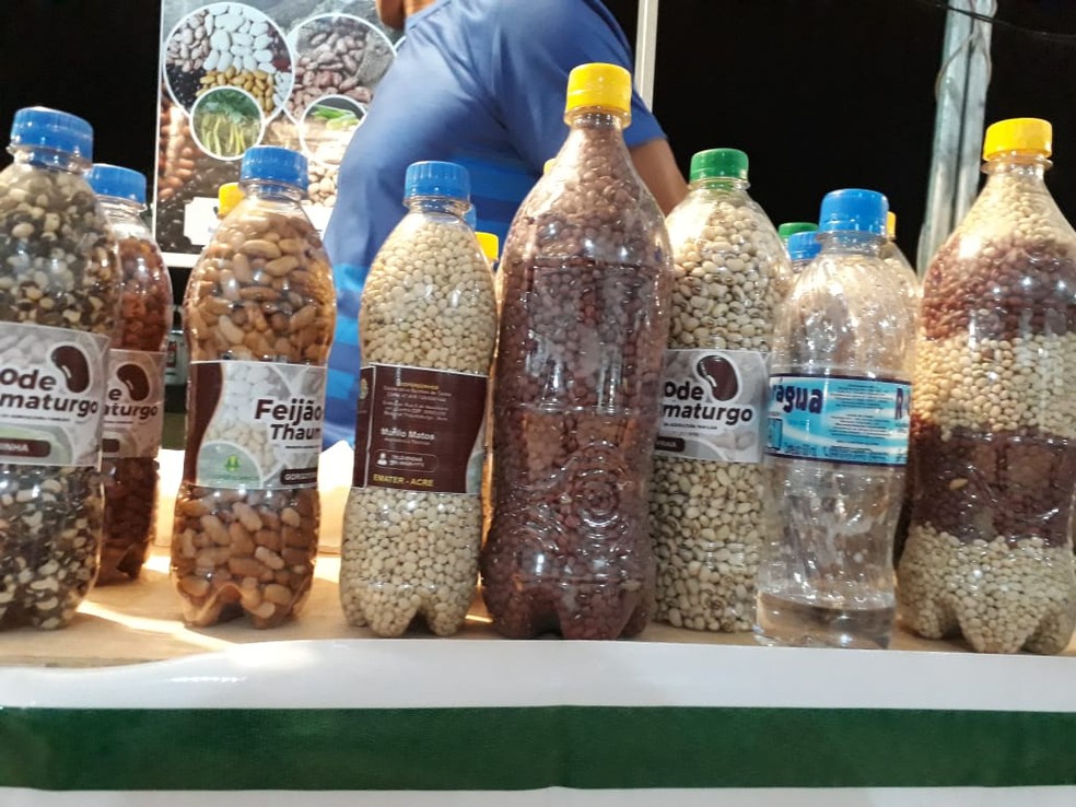 Sebrae conta que safra já teria interessados  e falta apenas certificação  — Foto: Arquivo pessoal 