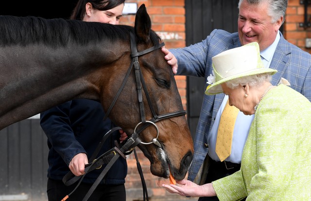 DITCHEAT,  UNITED KINGDOM - MARCH 28:  Queen Elizabeth ll feeds a carrot to a horse trained by Paul Nicholls during a visit to Manor Farm Stables on March 28, 2019 in Ditcheat, England. (Photo by Anwar Hussein/WireImage) (Foto: WireImage)