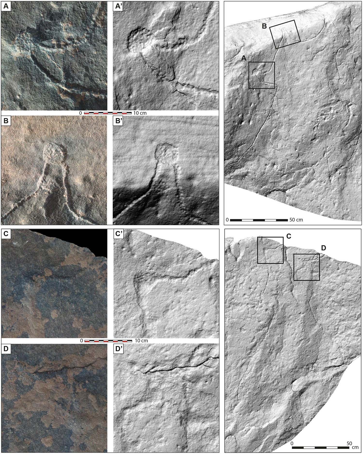 Fotografias detalhadas e modelos de superfície sombreada de colinas da superfície de pedra gravada de Jebel az-Zilliyat, Arábia Saudita — Foto: Rémy Crassard et.al