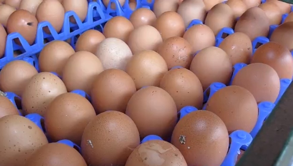 Cartela com 30 ovos custa em média R$ 8,30 nos supermercados de MT — Foto: Reprodução/RPC