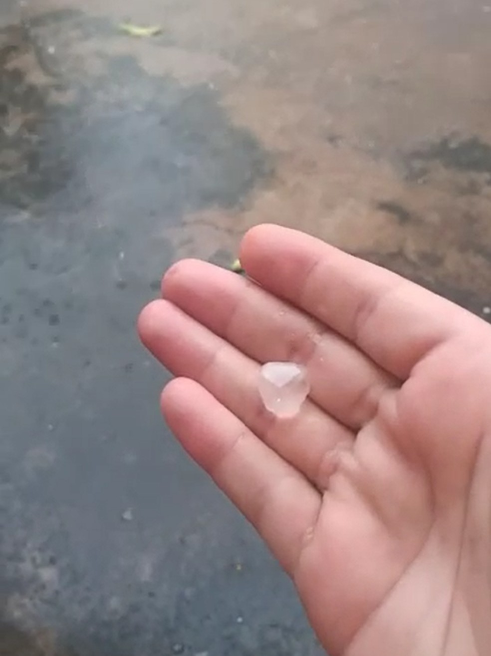 Pedra de granizo que caiu durante chuva no bairro Nova América em Piracicaba — Foto: Dagmar Brustolin/Arquivo pessoal