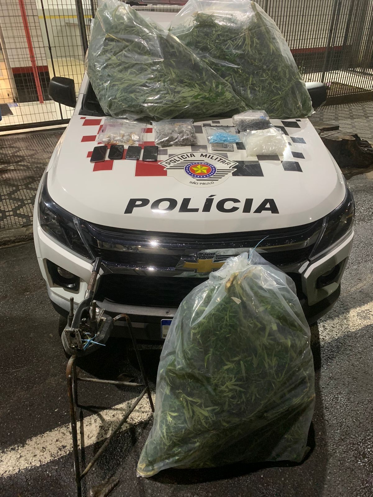 PM descobre plantação de maconha e apreende 22 kg de droga em Taubaté