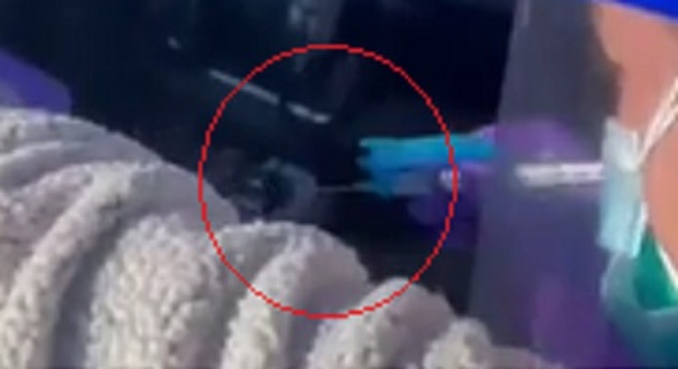 e fake que video mostre seringa de vacina em schwarzenegger com a tampa fechada no momento da aplicacao coronavirus g1