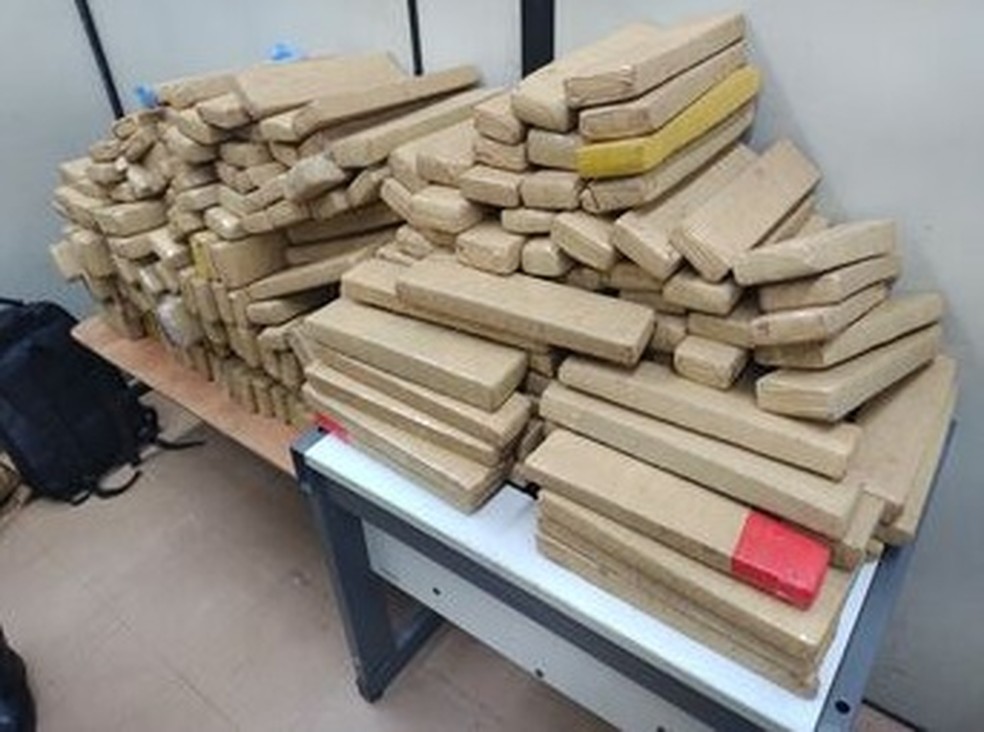 Na MG-050 os policiais encontraram 230 quilos de maconha dentro de um veículo — Foto: Divulgação/PMMG