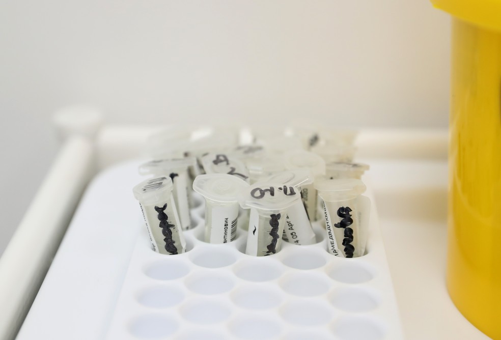 Testes de novo coronavírus (Covid-19) em laboratório de Moscou, na Rússia, em foto desta segunda-feira (6) — Foto: Evgenia Novozhenina/Reuters
