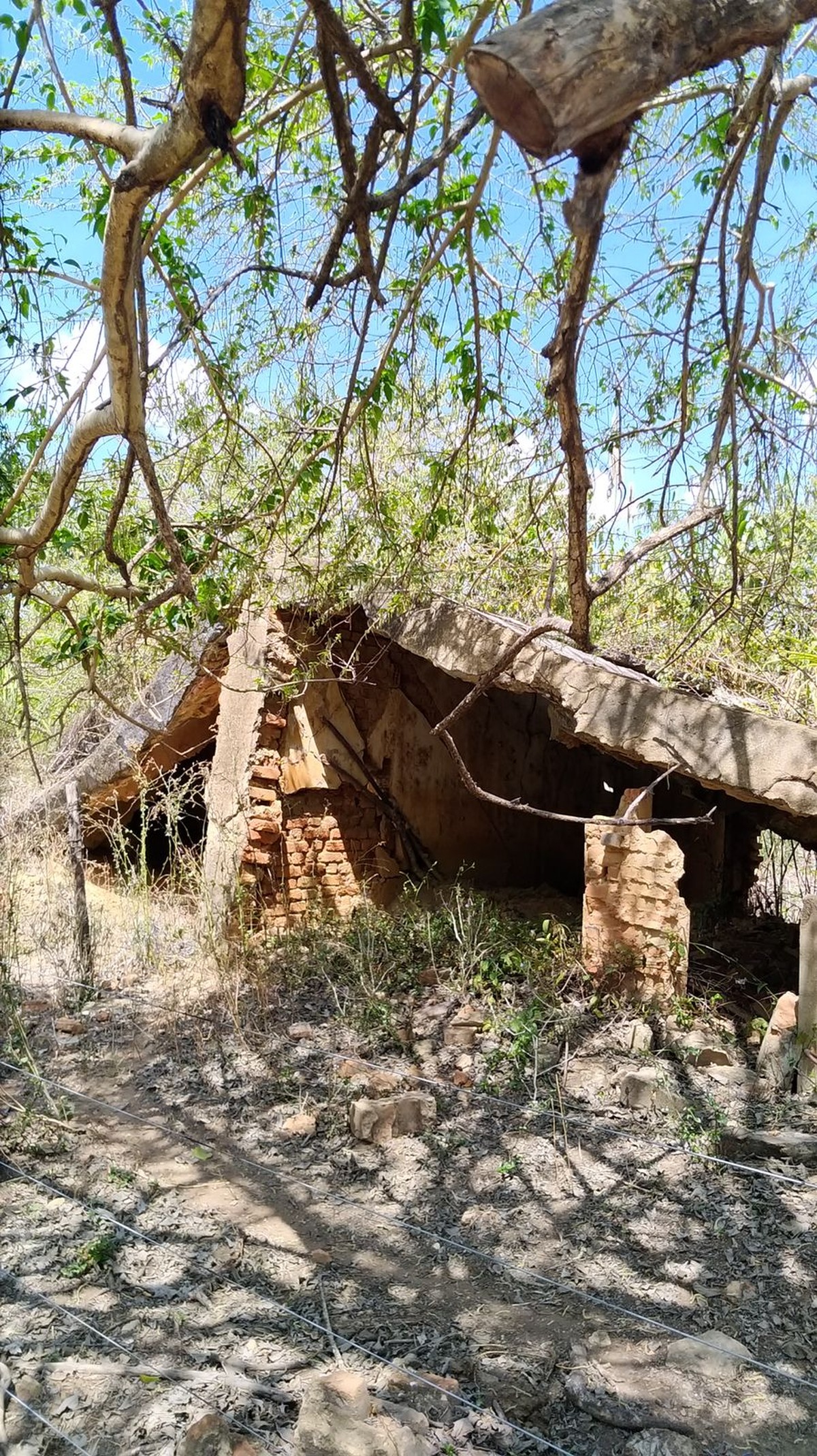 Justiça condena União, Funai e MG por campo de concentração indígena durante ditadura militar