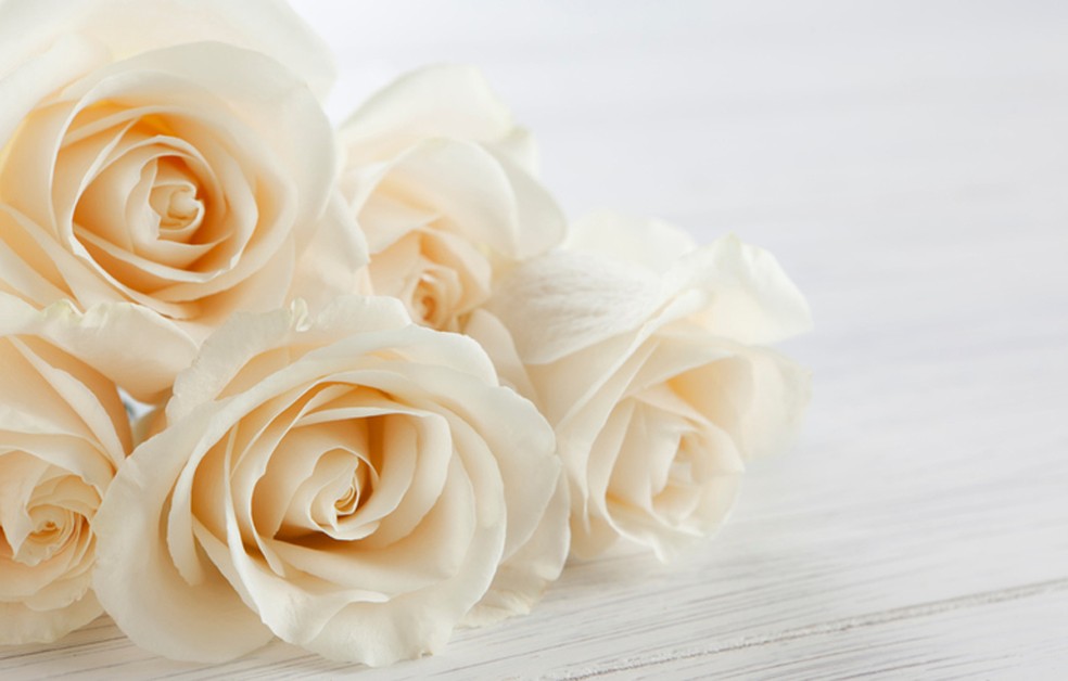 As rosas brancas já foram muito usadas em buquês de noivas por simbolizarem pureza e inocência — Foto: Creative Commons