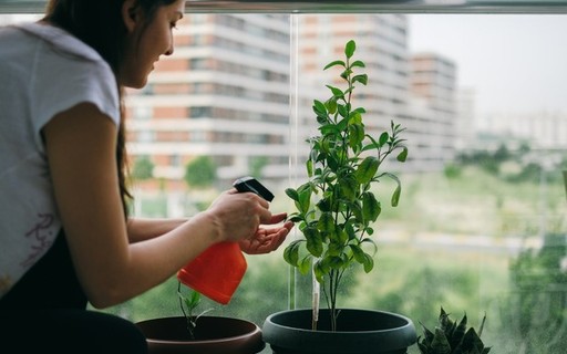 Dicas Faceis Para Multiplicar As Plantas Em Casa Casa Vogue Paisagismo