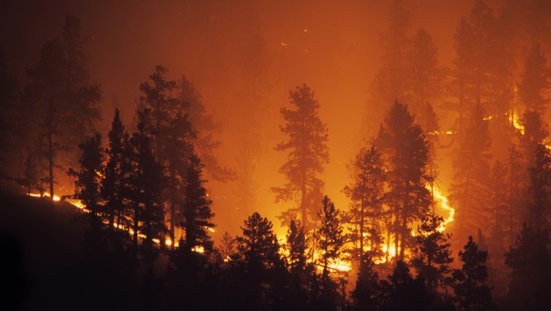 Incêndio atinge floresta do parque Pike National Forest, em Colorado, nos EUA (Foto: milehightraveler, Getty Images)