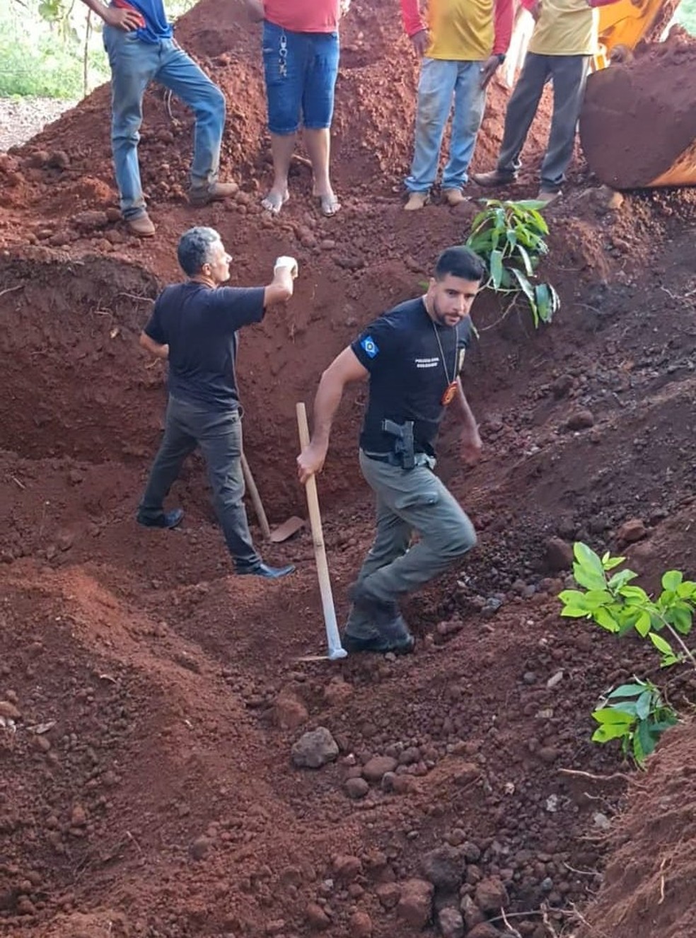 Corpo de mulher de 66 anos é encontrado enterrado atrás da casa — Foto: Polícia Civil/Cedida