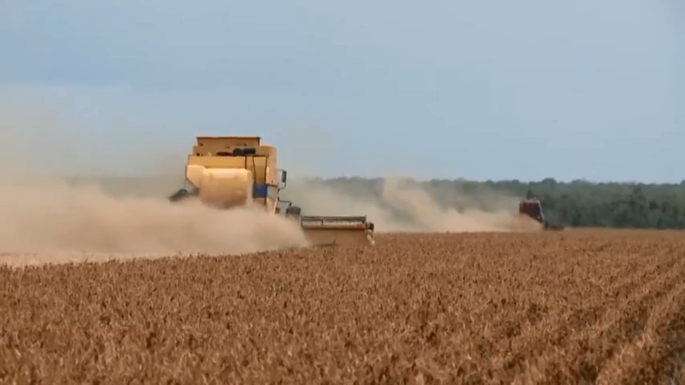 Máquinas iniciaram a colheita de soja nas fazendas do Piauí — Foto: TV Clube