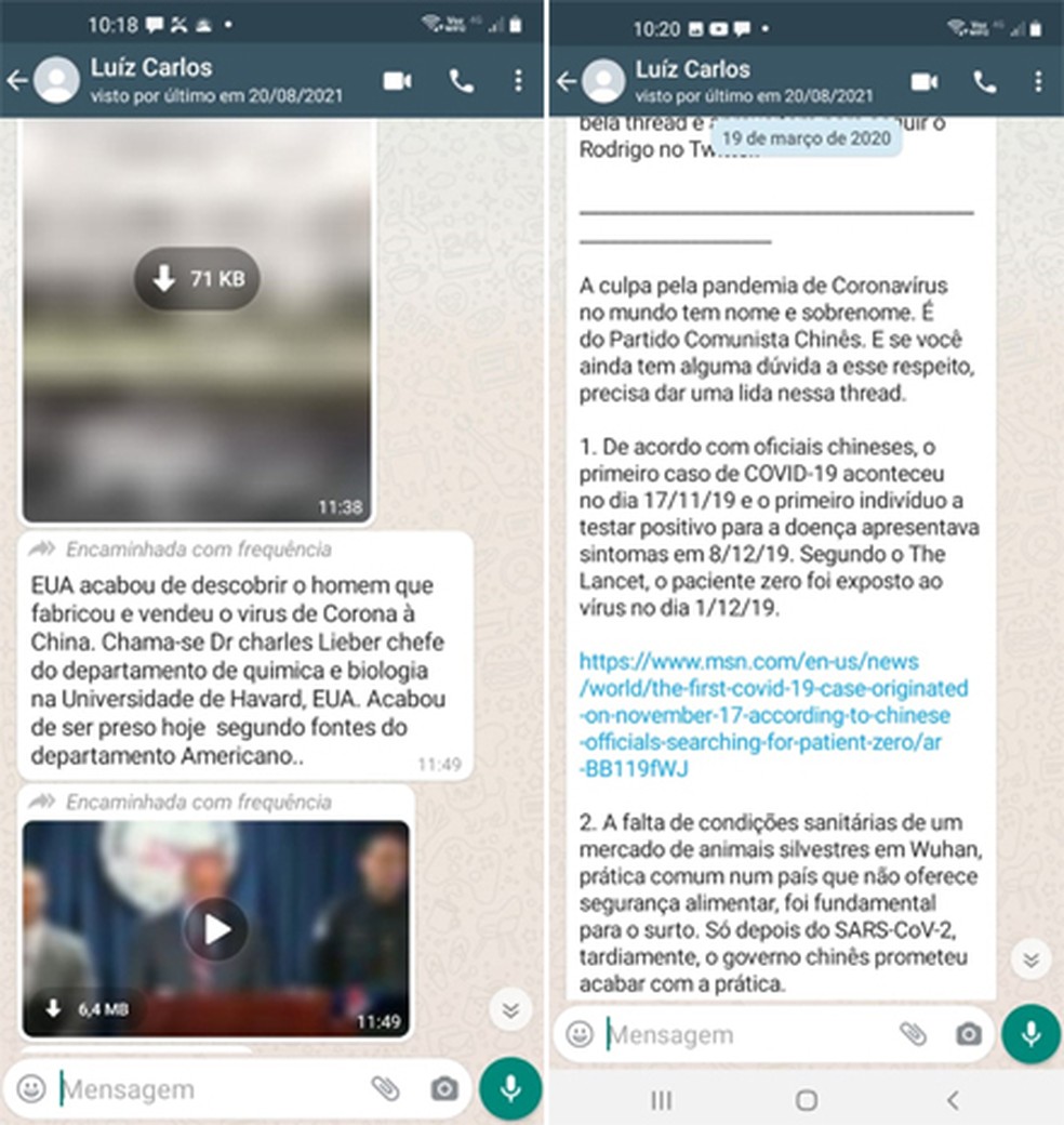 Rodrigo conta que Luíz Carlos recebia e compartilhava mensagens falsas nas redes sociais — Foto: Reprodução