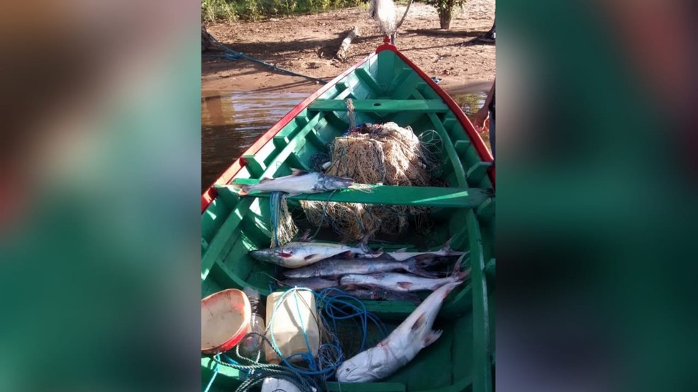 Uso de bajaras contribuiu para o aumento da captura de peixes em canais de acesso mais difícil — Foto: Ascom/Ufopa