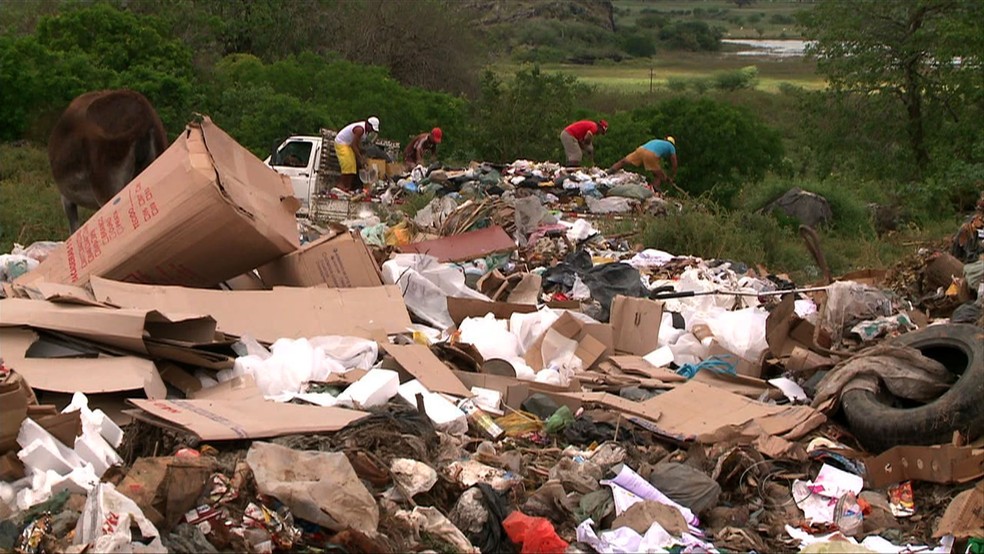 Lixões são um problema ambiental na maioria dos municípios de Alagoas (Foto: Reprodução/TV Gazeta)