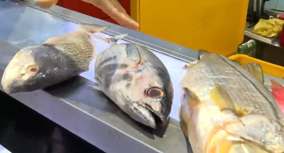 Comerciantes do Mercado do Peixe esperam aumento de 50% nas vendas &mdash; Foto: Reprodu&ccedil;&atilde;o/TV Bahia