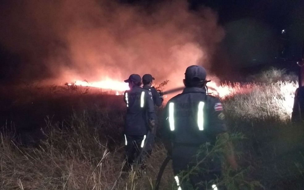 Incêndio toma conta de capinzal em Barreias (Foto: Divulgação/Corpo de Bombeiros)
