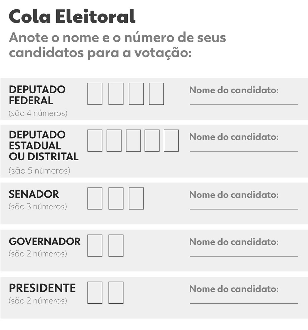 Cola eleitoral para a votação no 1º turno, em 2 de outubro — Foto: Arte: g1