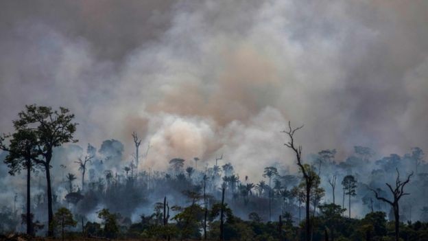 BBC - Brasil está sob crescente pressão internacional por causa do aumento do desmatamento (Foto: AFP via BBC)
