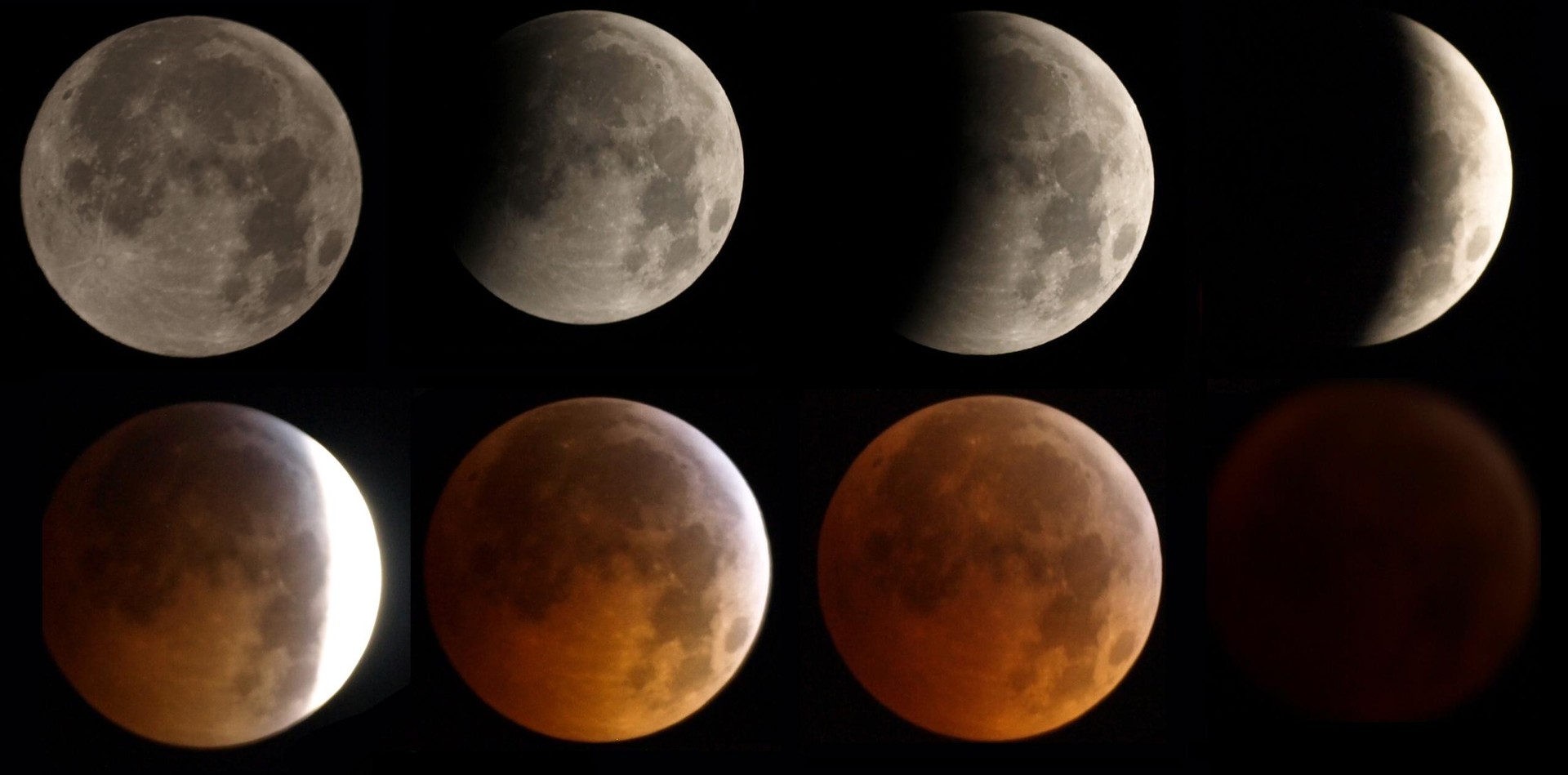 As fases de um eclipse lunar completo (Foto: Nasa)