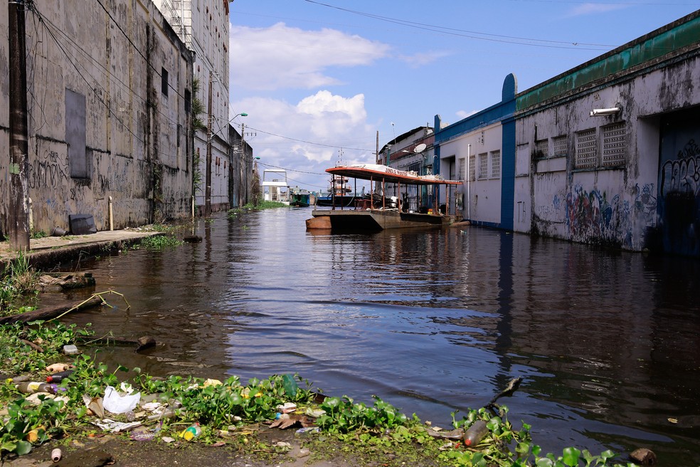 Rua em Manaus atingida por cheia do Rio Negro — Foto: Divulgação