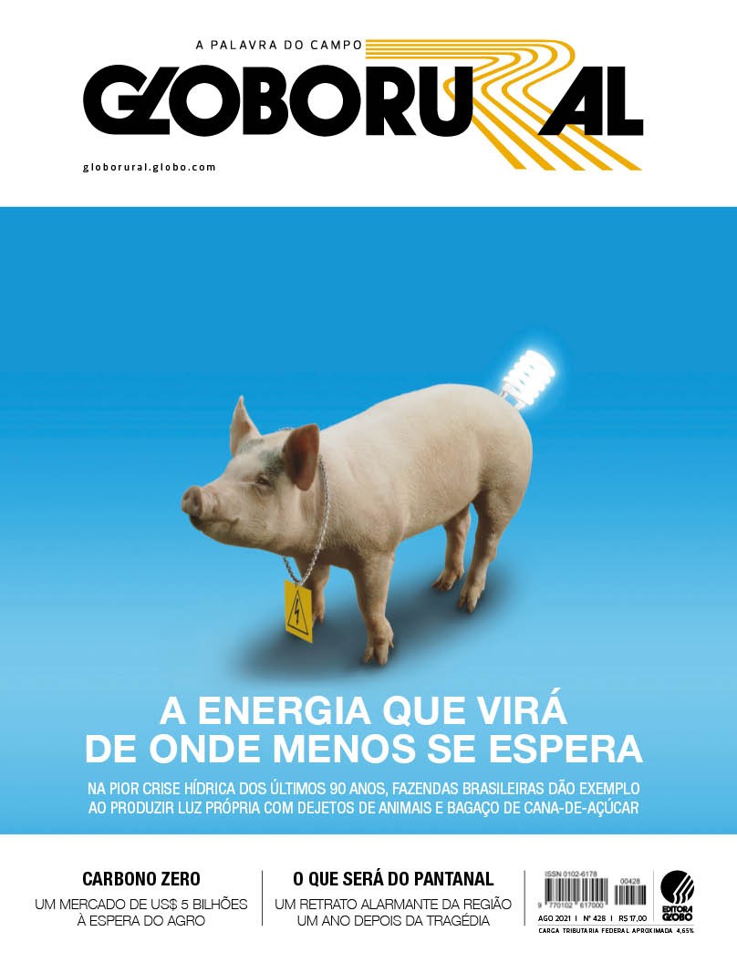 Edição de agosto destaca a reinvenção de fazendas que produzem energia a partir de dejetos de animais (Foto: Globo Rural/Estúdio de Arte)