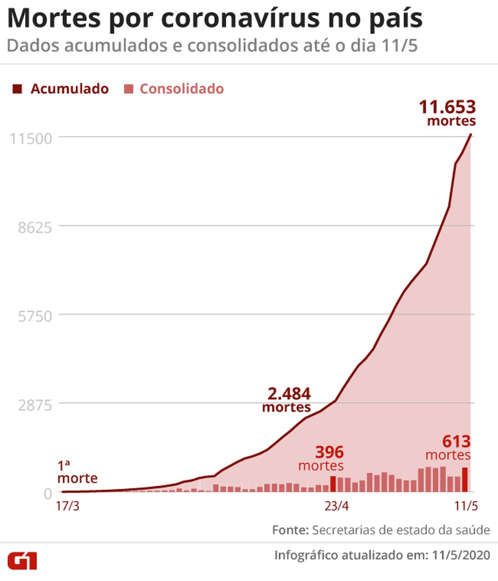 Mortes por coronavírus no país — Foto: Arte G1