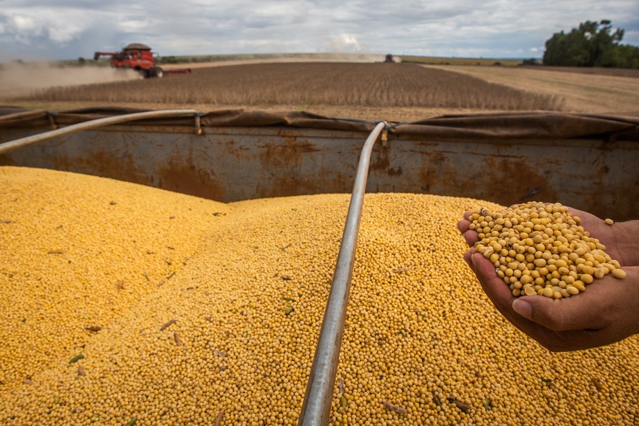 Produção de soja deve totalizar 153,5 milhões de toneladas na safra 2022/2023