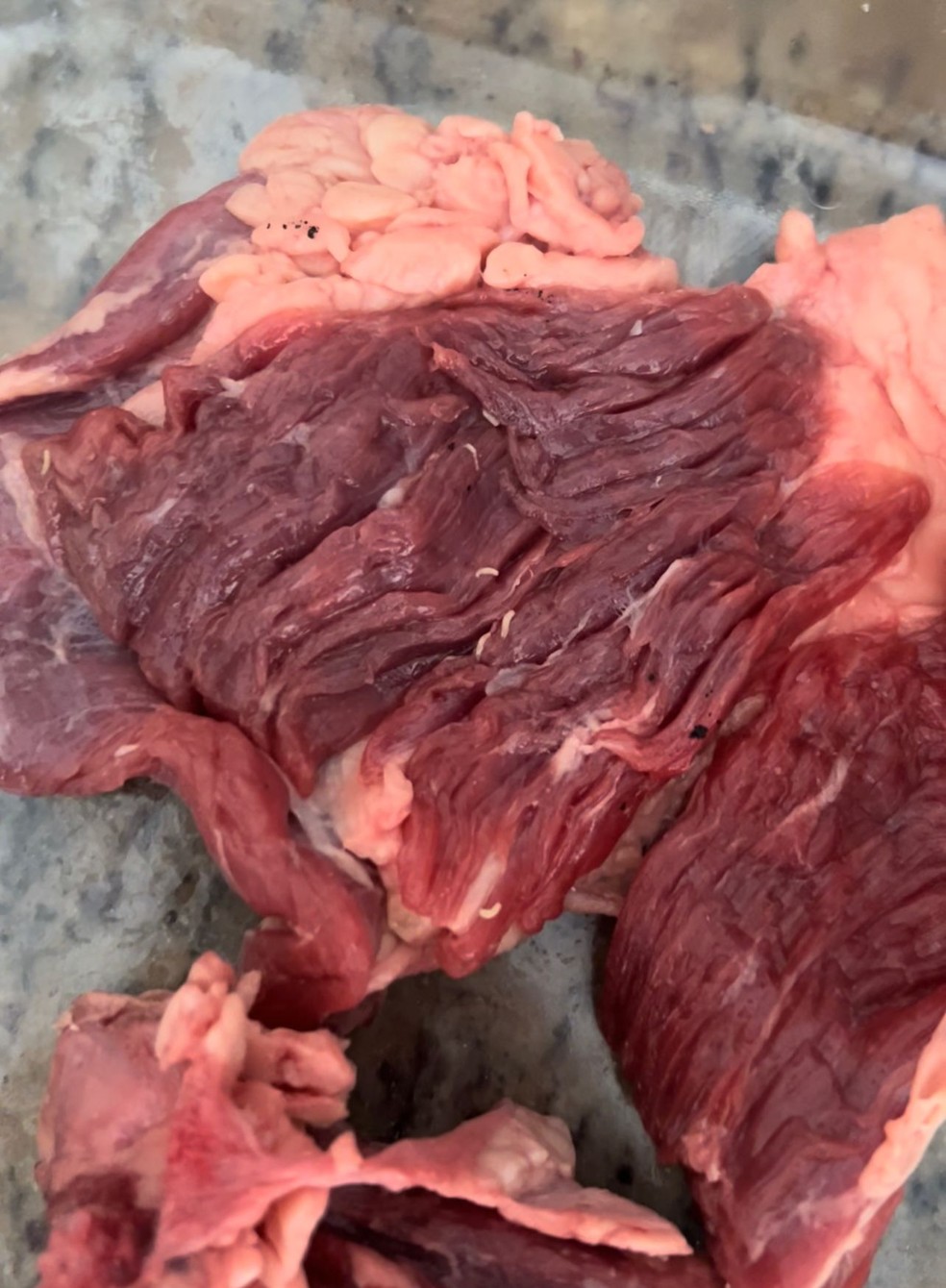 Auxiliar de enfermagem encontrou larva em carne comprada no Mercado Extra em Itanhaém, SP — Foto: Kelly Beck Tofteraa