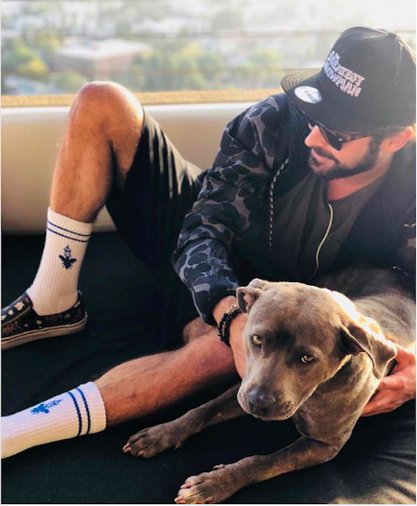 O ator Zac Efron com sua cachorrinha MACA (Foto: Instagram)
