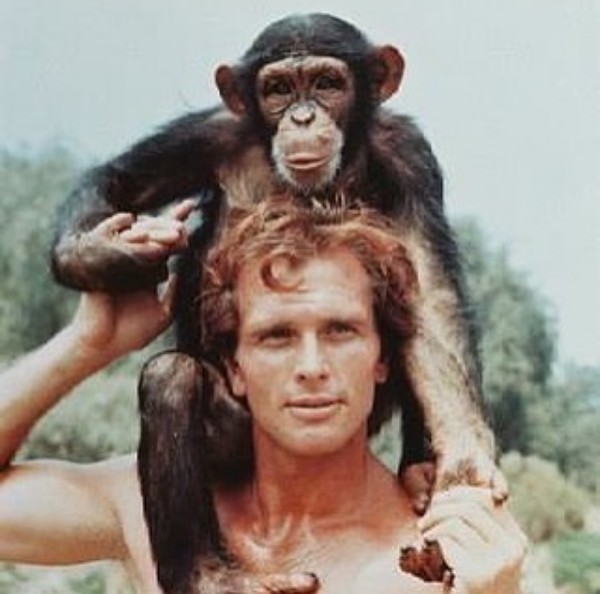 O ator Ron Ely em cena da série de TV Tarzan (Foto: Reprodução)