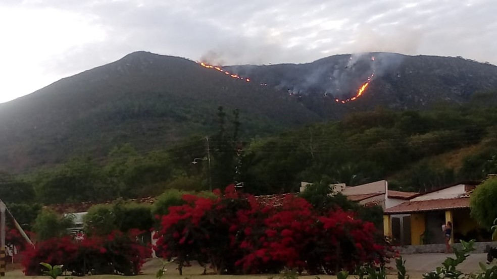 IncÃªndio atinge Serra do Cruzeiro, em Jaguarari, norte da Bahia â€” Foto: Brigada da Jaguatirica/ DivulgaÃ§Ã£o
