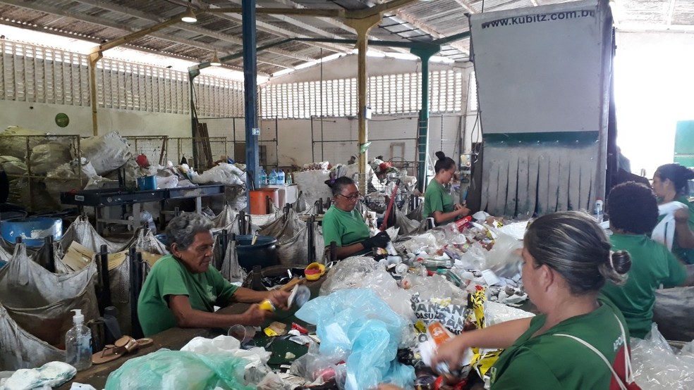 Benefício vai chegar a 1.249 catadores do estado do Ceará,segundo o governo — Foto: Governo do estado