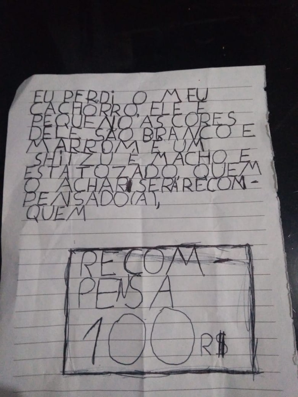 Criança escreve carta e oferece recompensa do próprio cofrinho para quem achar cachorro perdido — Foto: Arquivo Pessoal/Bianca Oliveira dos Santos Goulart