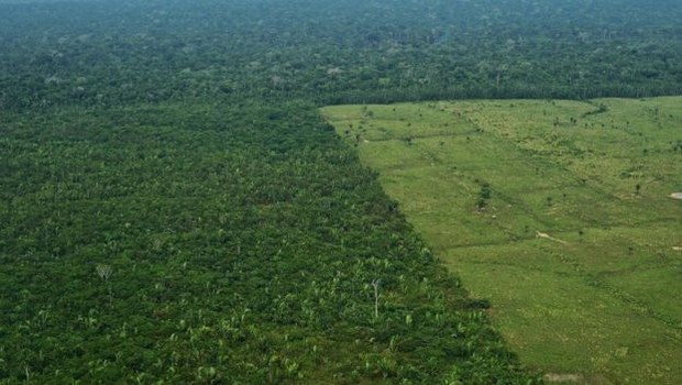 Desmatamento para pasto na Amazônia também é alvo de crítica de cientistas (Foto: Getty Images/BBC)