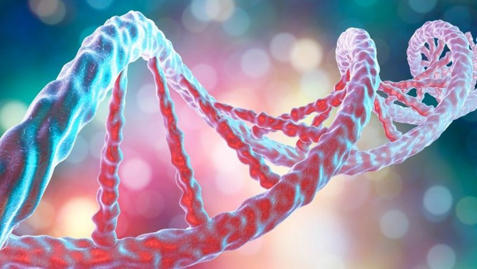 DNA tradicional identifica uma pessoa, enquanto o mitocondrial aponta a linhagem materna — Foto: Getty Images via BBC
