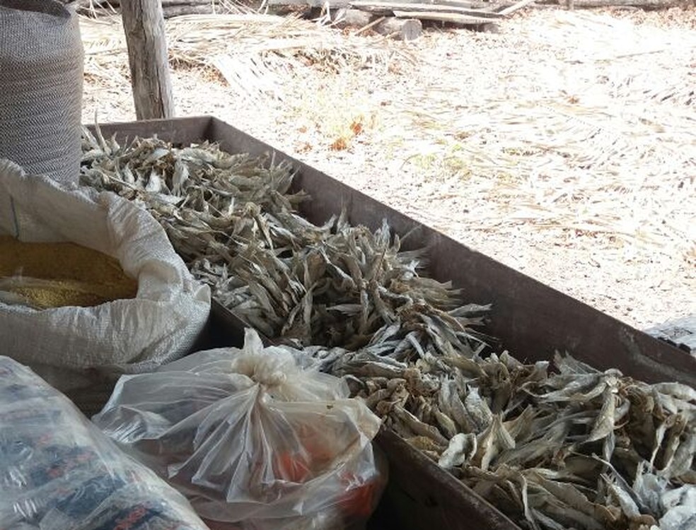 Alimentos eram guardados em local impróprio (Foto: Divulgação / PRF)