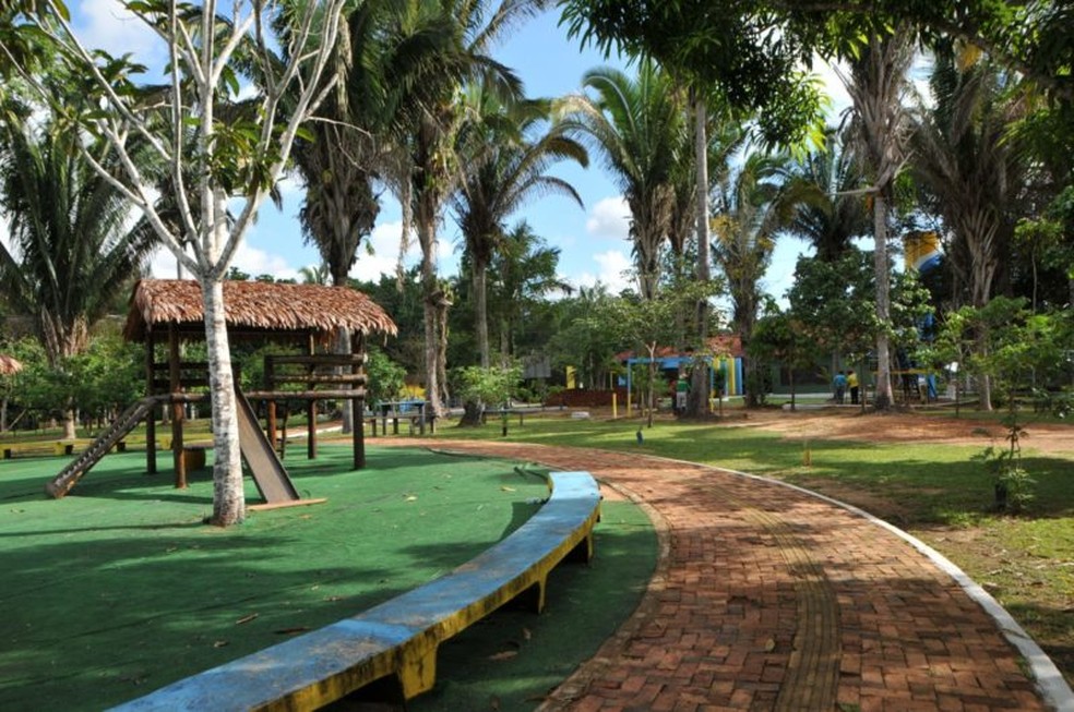 Viveiro Municipal é localizado no Parque Natural de Porto Velho — Foto: Prefeitura de Porto Velho