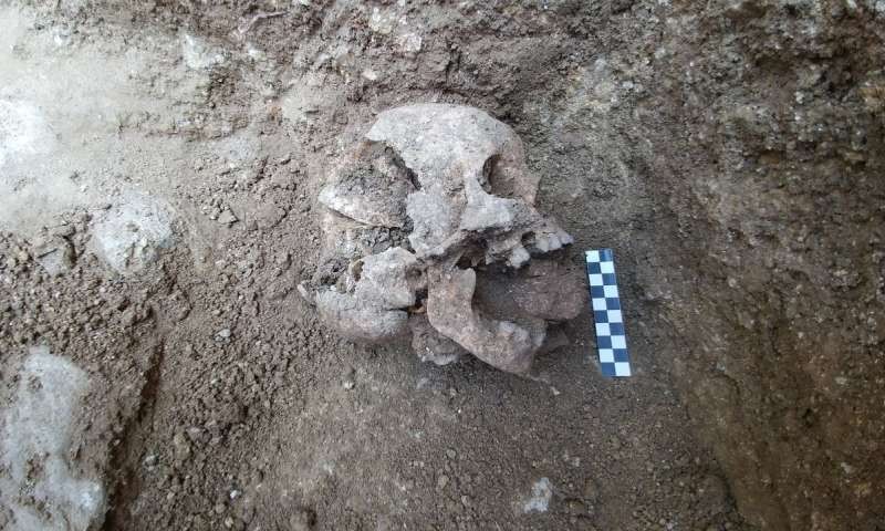 Crânio encontrado em sítio arqueológico conhecido como 'cemitério de bebês' (Foto: Universidade de Stanford)