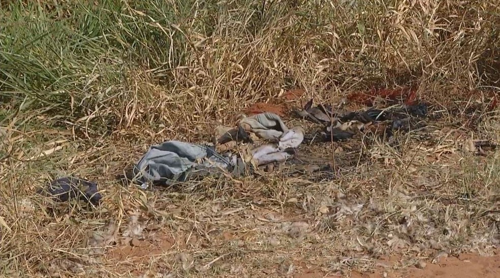 Corpo foi encontrado parcialmente carbonizado numa estrada rural em Assis  — Foto: TV TEM/Reprodução