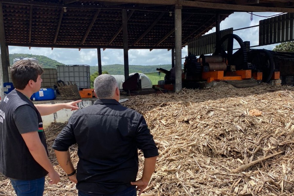 Região da Ibiapaba, no Ceará, é famosa em todo o Brasil pela produção de cachaça. — Foto: MPCE/Reprodução