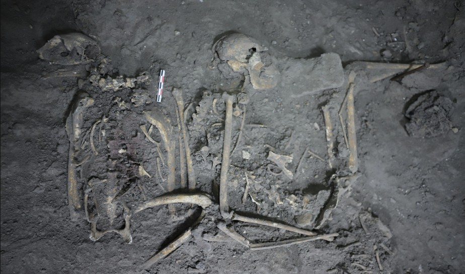 Esqueleto de macaco-aranha de 1,7 mil anos revela diplomacia com povo maia